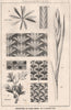 Suggestions in Floral; Design by F.E. Hulme F.S.A.. Decorative (2) 1875 print