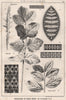 Suggestions in Floral; Design by F.E. Hulme F.S.A.. Decorative (7) 1875 print
