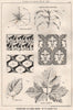 Suggestions in Floral; Design by F.E. Hulme F.S.A.. Decorative (13) 1875 print