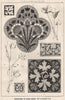 Suggestions in Floral; Design by F.E. Hulme F.S.A.. Decorative (19) 1876 print