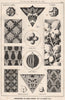 Suggestions in Floral; design by F.E. Hulme F.S.A.. Botanical 1876 old print