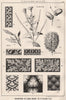 Suggestions in Floral; design by F.E. Hulme F.S.A.. Botanical (2) 1876 print