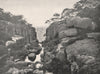 Buffalo Mountains. The Gorge looking East. Victoria, Australia. 1908 old print