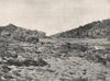 Buffalo Mountains. Camp Plain looking South. Victoria, Australia. 1908 print