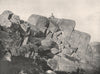 Buffalo Mountains. Top of The Horn. Victoria, Australia. 1908 old print