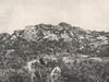 Buffalo Mountains. Le Souef's Peak looking West. Victoria, Australia. 1908