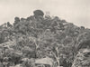 Buffalo Mountains. Big Gun Hill looking North. Victoria, Australia. 1908 print