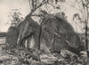 Buffalo Mountains. Group of Tors; north-west jointing. Victoria, Australia 1908