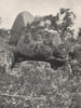 Buffalo Mountains. Group of Tors. Victoria, Australia. 1908 old antique print