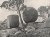 Buffalo Mountains. The Biscuit and Cheese. Victoria, Australia. 1908 old print