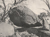 Buffalo Mountains. The Mussel Rock. Victoria, Australia. 1908 old print