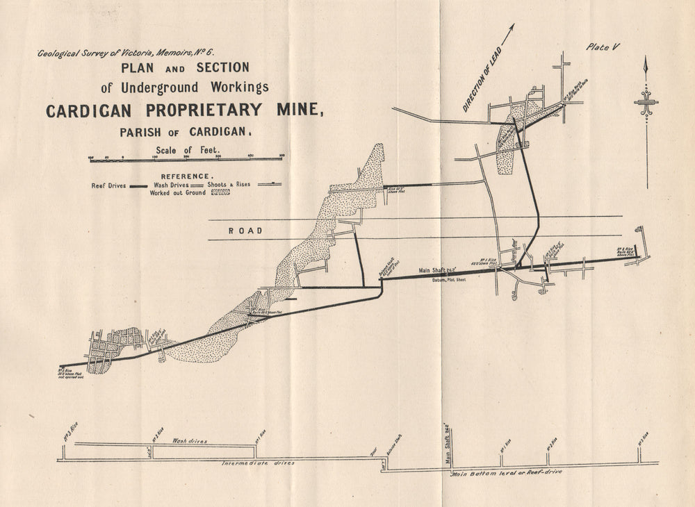 Cardigan Proprietary Mine, Cardigan. Victoria, Australia. Mining 1909 old map