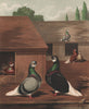 PIGEONS. Blue & Black Beards. Antique chromolithograph 1880 old print