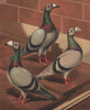 PIGEONS. Young & old Blue & Silver Dun Dragoons. (London Fancy) 1880 print