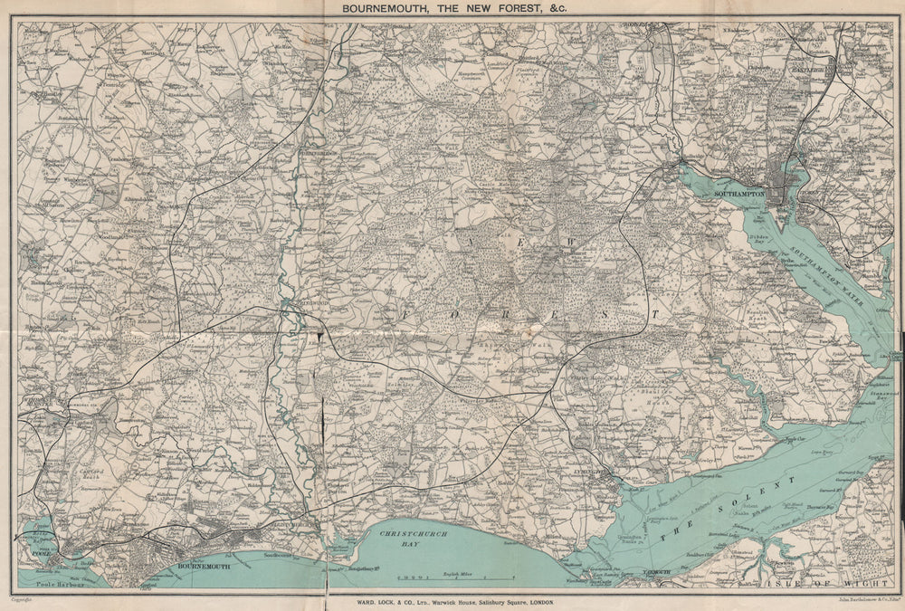 THE NEW FOREST & environs. Bournemouth Southampton Ringwood. WARD LOCK 1917 map