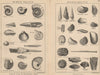BRITISH FOSSILS. Middle Oolitic. STANFORD 1913 old antique print picture