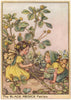 Black Medick Fairies by Cicely Mary Barker. Wayside Flower Fairies c1948 print