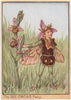 Bee Orchis Fairy by Cicely Mary Barker. Wayside Flower Fairies c1948 old print