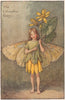 Celandine Fairy by Cicely Mary Barker. Spring Flower Fairies c1935 old print