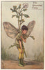 Groundsel Fairy by Cicely Mary Barker. Spring Flower Fairies c1935 old print