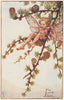 Larch Fairy by Cicely Mary Barker. Spring Flower Fairies c1935 old print