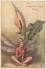 Lords-and-Ladies Fairy by Cicely Mary Barker. Spring Flower Fairies c1935