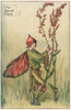 Sorrel Fairy by Cicely Mary Barker. Summer Flower Fairies c1935 old print