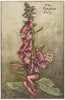 Foxglove Fairy by Cicely Mary Barker. Summer Flower Fairies c1935 old print