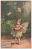 White Clover Fairy by Cicely Mary Barker. Summer Flower Fairies c1935 print