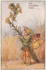 Toadflax Fairy by Cicely Mary Barker. Summer Flower Fairies c1935 old print