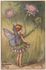 Scabious Fairy by Cicely Mary Barker. Summer Flower Fairies c1935 old print