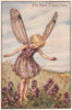 Wild Thyme Fairy by Cicely Mary Barker. Summer Flower Fairies c1935 old print