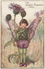 Greater Knapweed Fairy by Cicely Mary Barker. Summer Flower Fairies c1935