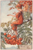Mountain Ash Fairy by Cicely Mary Barker. Autumn Flower Fairies c1935 print