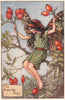 Rose Hip Fairy by Cicely Mary Barker. Autumn Flower Fairies c1935 old print