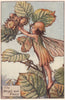 Hazel-nut Fairy by Cicely Mary Barker. Autumn Flower Fairies c1935 old print