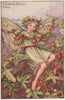 White Bryony Fairy by Cicely Mary Barker. Autumn Flower Fairies c1935 print