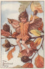 Beech nut Fairy by Cicely Mary Barker. Autumn Flower Fairies c1935 old print
