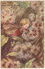 Old-Man's-Beard Fairy by Cicely Mary Barker. Autumn Flower Fairies c1935 print