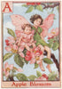 A = Apple Blossom Fairy by Cicely Mary Barker. Alphabet Flower Fairies c1934