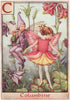 C = Columbine Fairy by Cicely Mary Barker. Alphabet Flower Fairies c1934 print