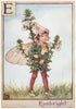 E = Eyebright Fairy by Cicely Mary Barker. Alphabet Flower Fairies c1934 print