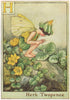 H = Herb Twopence Fairy by Cicely Mary Barker. Alphabet Flower Fairies c1934