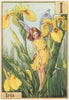 I = Iris Fairy by Cicely Mary Barker. Alphabet Flower Fairies c1934 old print