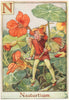 N = Nasturtium Fairy by Cicely Mary Barker. Alphabet Flower Fairies c1934