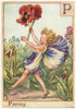 P = Pansy Fairy by Cicely Mary Barker. Alphabet Flower Fairies c1934 old print