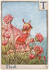 T = Thrift Fairy by Cicely Mary Barker. Alphabet Flower Fairies c1934 print