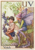 UV = Vetch Fairy by Cicely Mary Barker. Alphabet Flower Fairies c1934 print