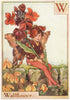 W = Wallflower Fairy by Cicely Mary Barker. Alphabet Flower Fairies c1934
