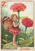 Z = Zinnia Fairy by Cicely Mary Barker. Alphabet Flower Fairies c1934 print